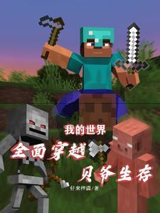 我的世界贝爷生存视频大全