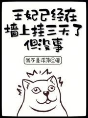 王妃已经挂在城门三天了