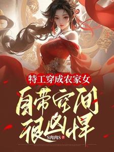特工穿越到农家有空间