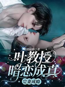 叶教授的小黏糖无弹窗