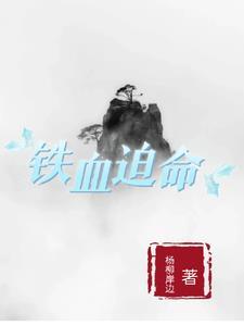 有个叫铁血什么的电视剧
