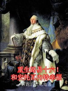 重生路易十四