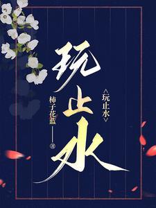 玩止水解析