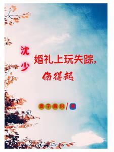 沈少求复婚
