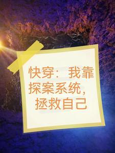 我靠破案c位出道