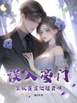误入豪门作者银八