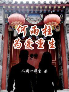 主角何雨柱