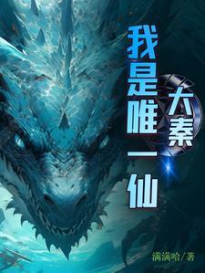 大秦我是唯一仙 秦天