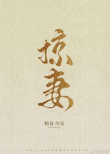 掠妻 相吾免费阅读全文