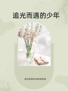 追光少年作者
