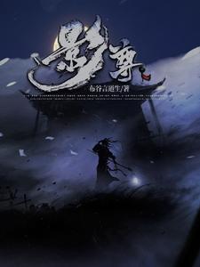 影尊是杂牌子还是名牌