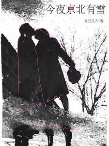 今夜京北有雪文初一