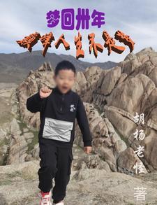 梦回巅峰什么意思