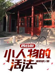 四合院典型代表