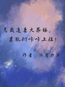 总裁追妻火葬场的文