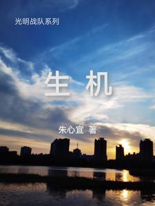 光明战记