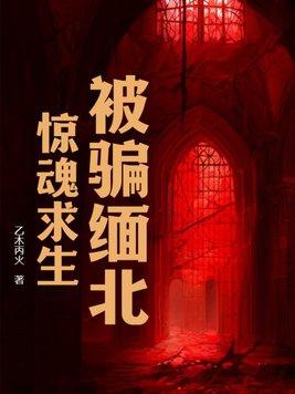 被骗缅北惊魂求生在线观看