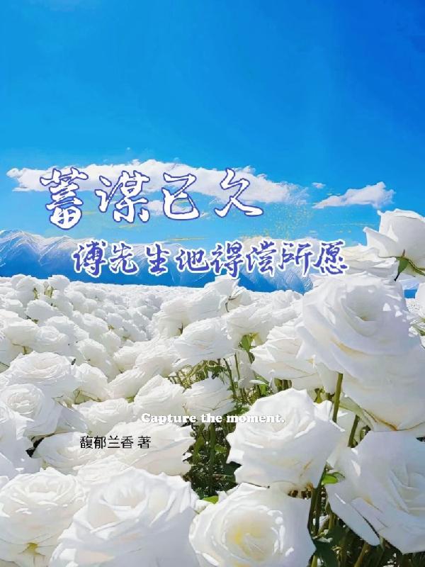 谋婚已久傅总