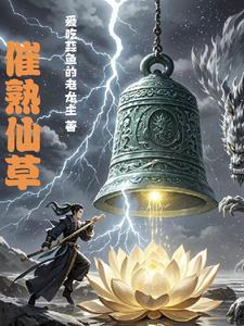 仙草需要煮多久