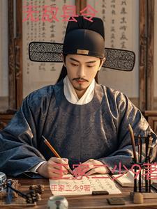 无敌县令有几个故事
