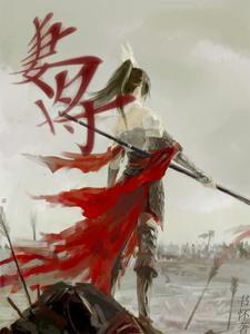 吾妻上将军开局
