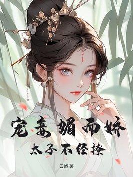 太子宠妾珠儿no
