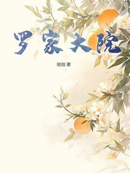 罗家大院子
