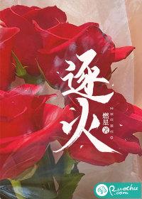 逐火之辈