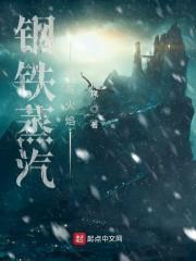 钢铁蒸汽与火焰全本免费阅读
