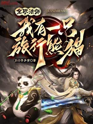 全职法师之我有块面板