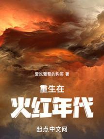重生在火红年代当医生免费阅读