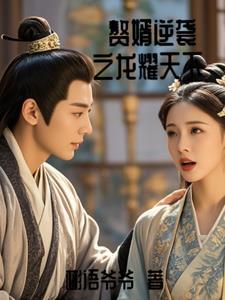 赘婿 龙隐