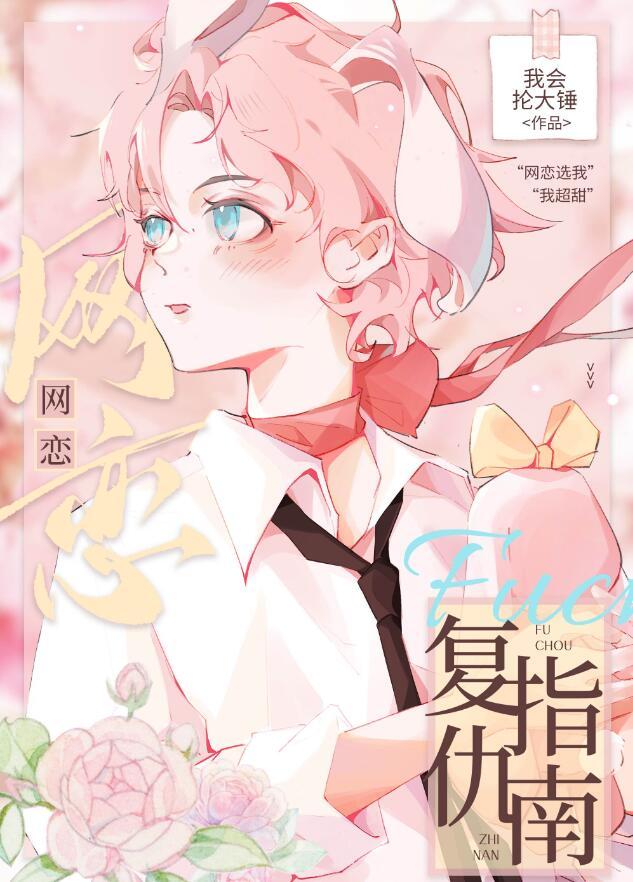 网恋复仇指南by