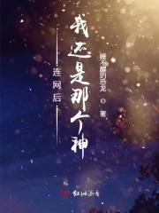请问网络连接好了吗