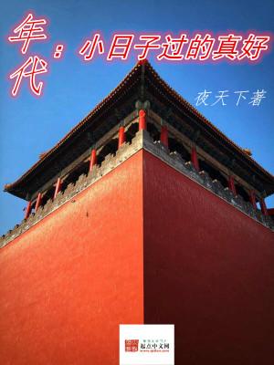 年代小日子过的真好作者夜天下