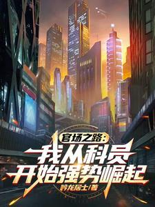 官场升迁之路